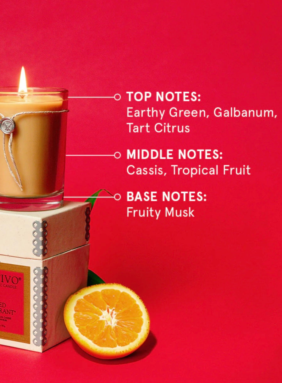 Votivo Candle - Red Currant